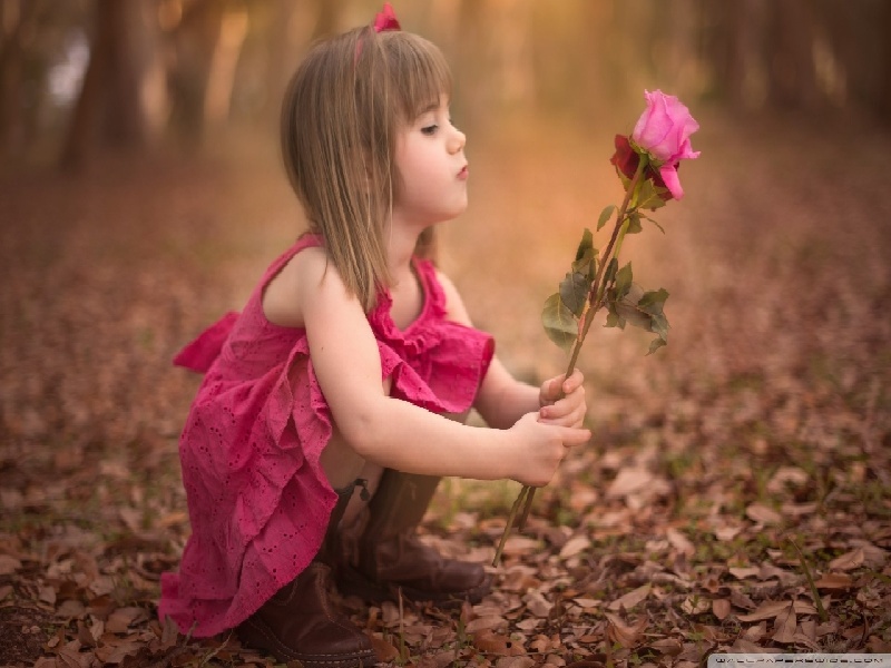 试管会过筛吗（泰国试管活检技术）