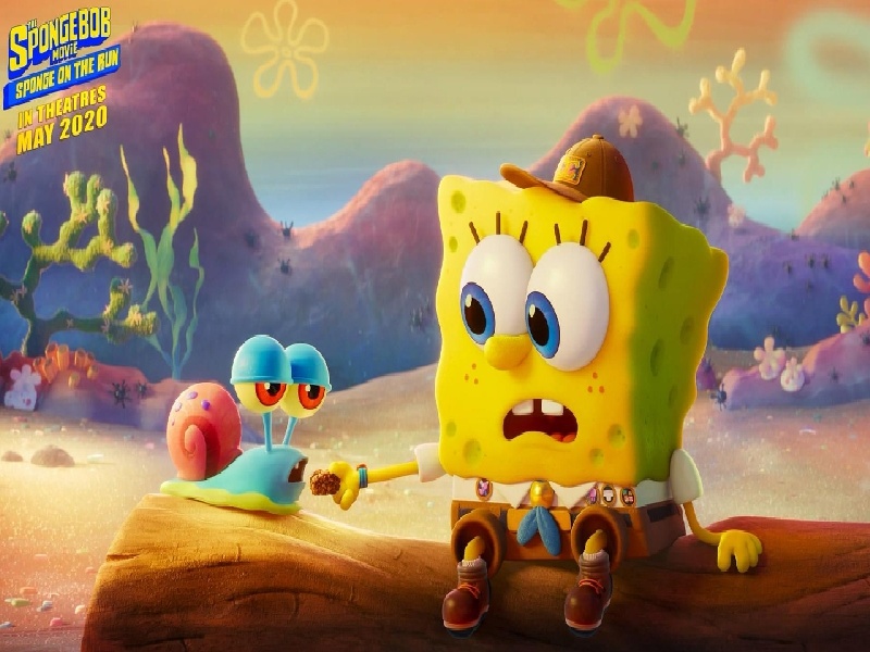 试管现代真实故事（检测卵泡费用）